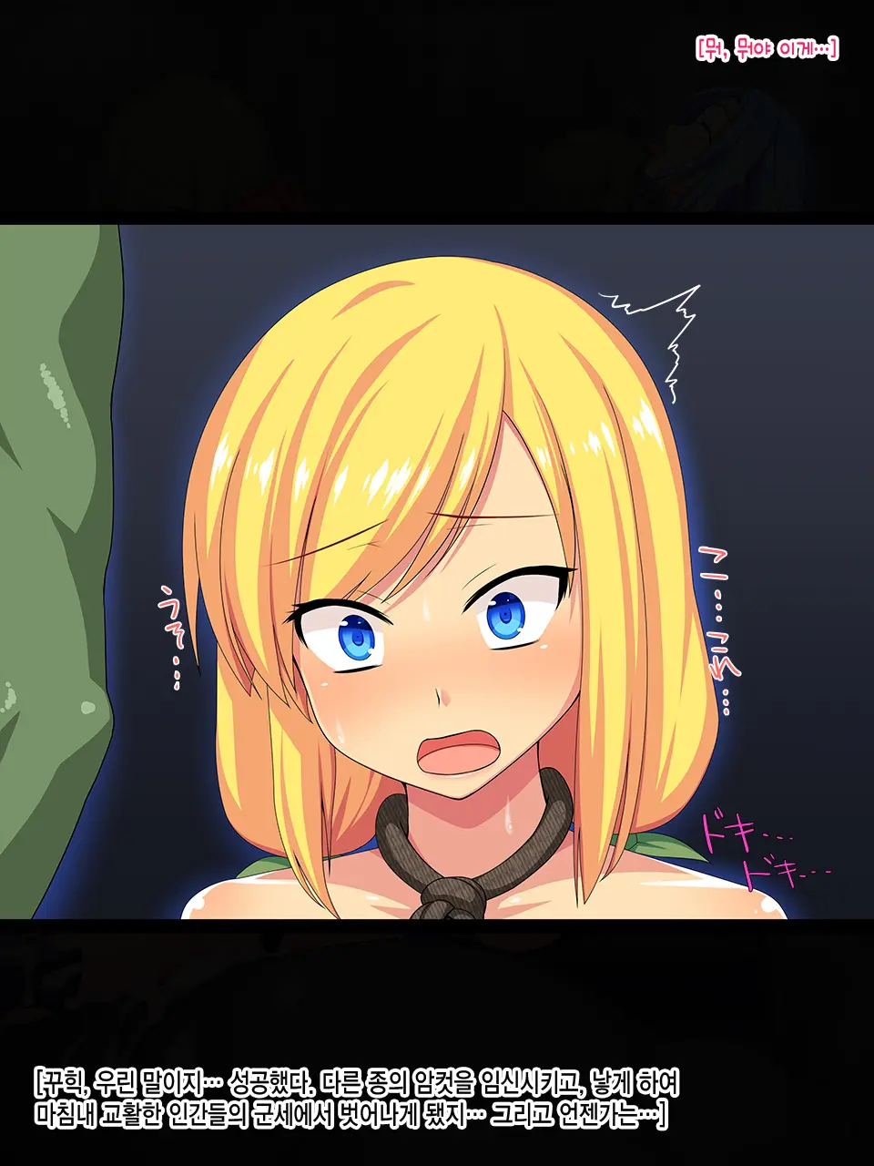 Elf No Otome Aselia ~Ishuzoku Nikubenki No Unmei~